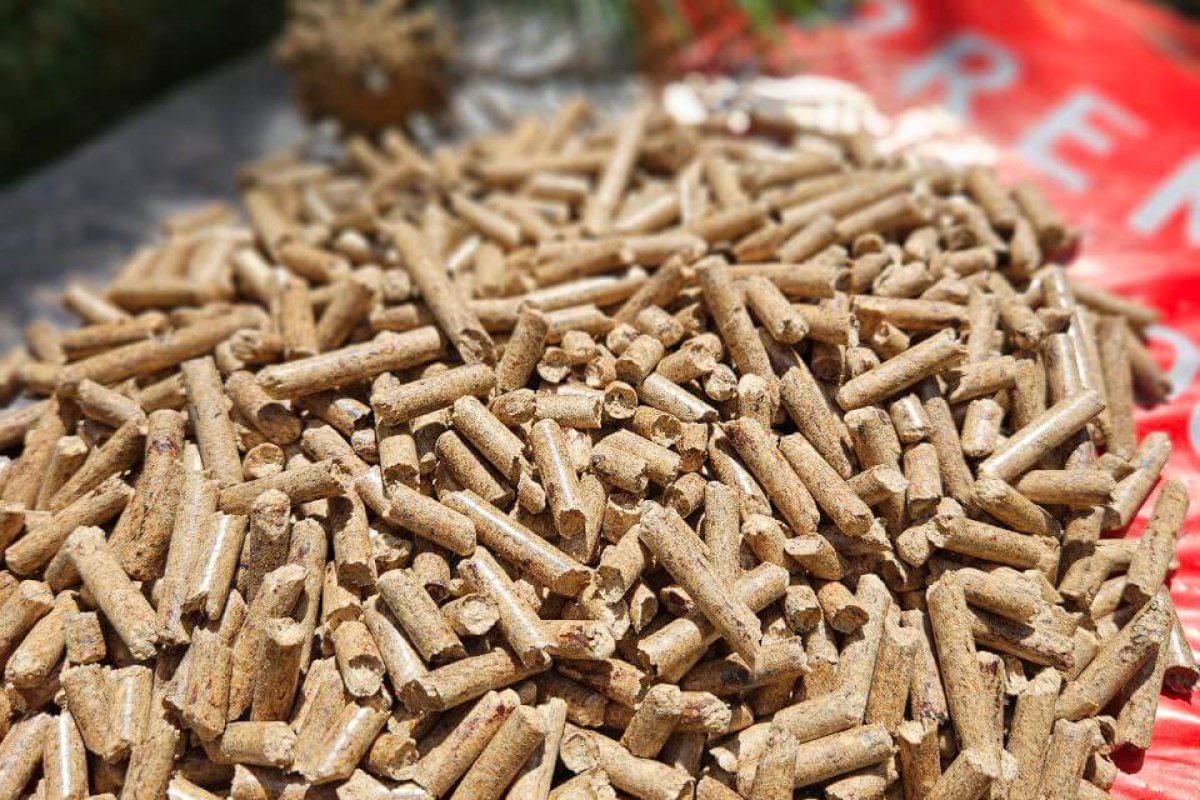 photo_2025-08-08_12-40-07