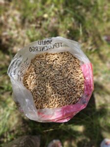 photo_2025-08-08_12-39-19