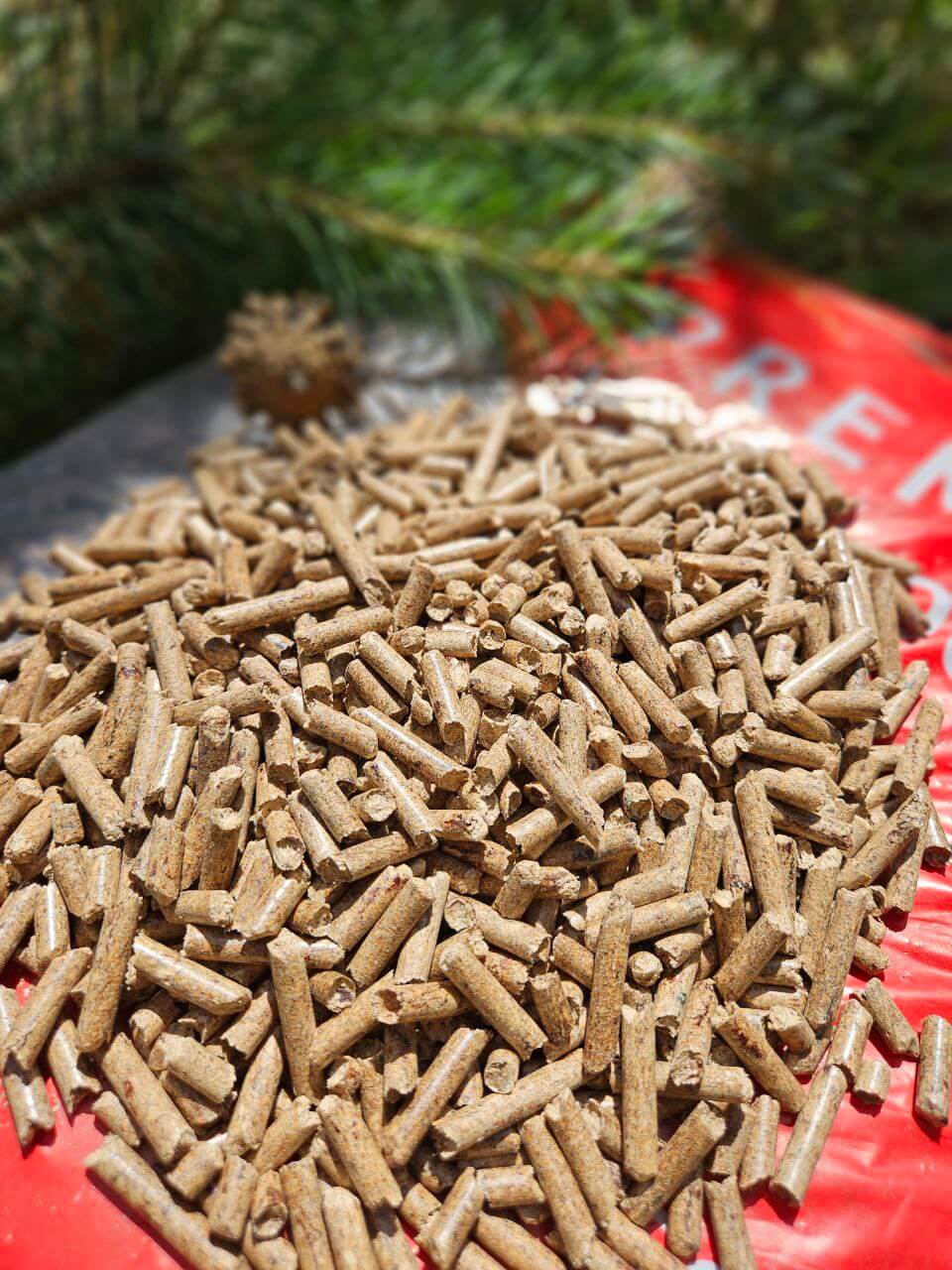 photo_2025-08-08_12-40-07